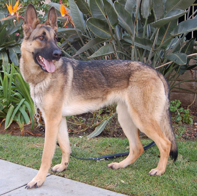 Daisy von Durenberg standing